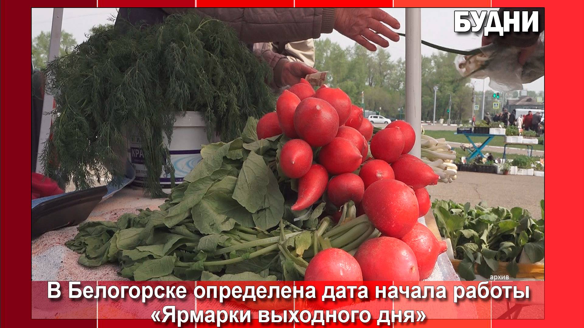 «Ярмарка выходного дня» откроется 17 мая