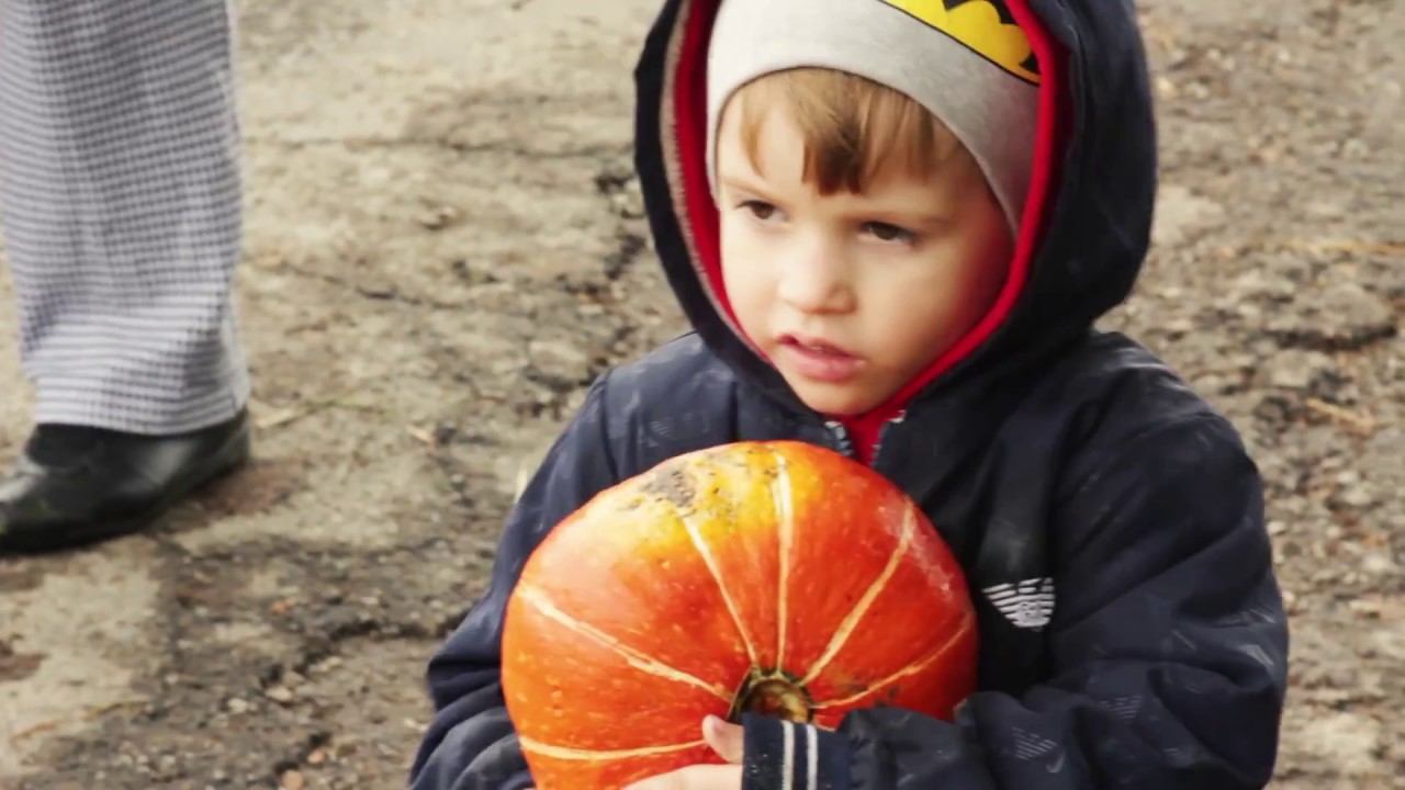 Америка 2016 смотреть онлайн