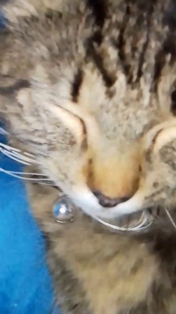 12. Juni 2024 смотреть онлайн