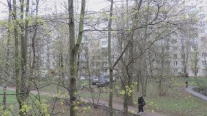 Вид из окна, конец апреля 2025.