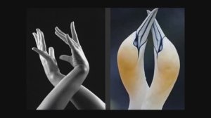Contradanza