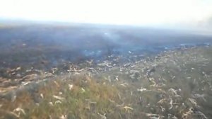 Пожар в Сахновщине 2 Агрофірма "Санрайз"