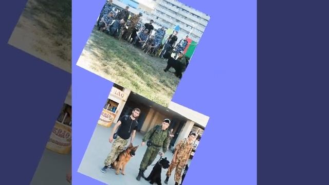 Кинологи смотреть онлайн