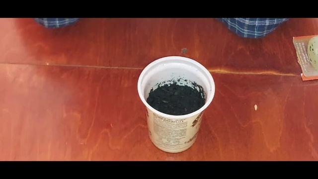 Рассадно-огородная жизнь ( арбузы, дыни, огурцы) смотреть онлайн