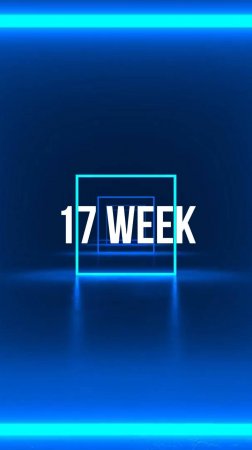 17 week 25
