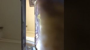 76691985794__F3CCA96E-086F-4EC6-848F-BF113401C722