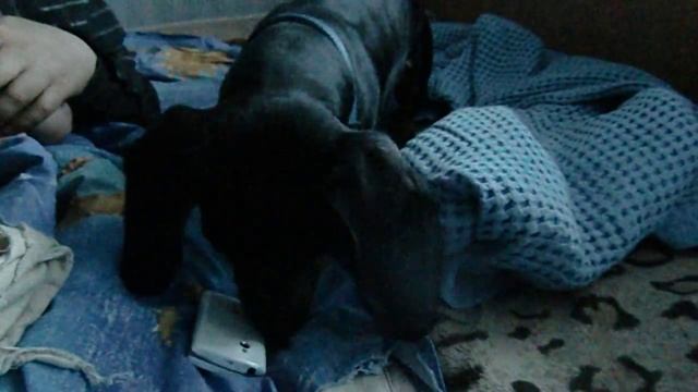 Икс и непонятная музыка смотреть онлайн