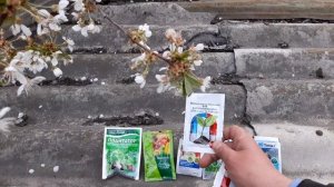Прилипатель! Увеличиваем эффективность препаратов и средст защиты. Применение в баковых смесях.