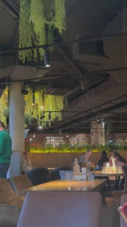 350 рублей за стейк и любое блюдо , вкусно , быстро, очень  советую посетить the БЫК