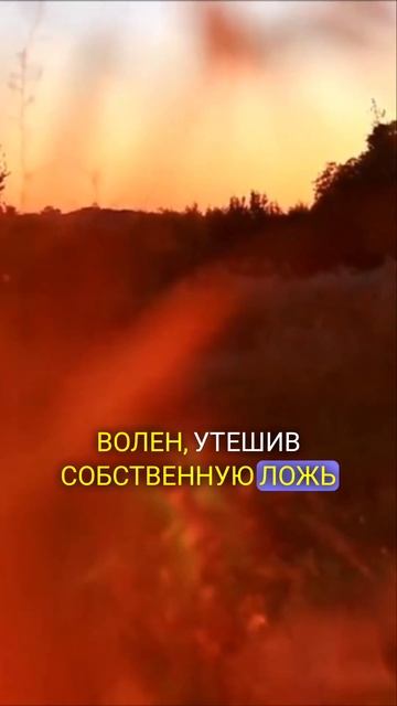 Стих - судьба #shorts