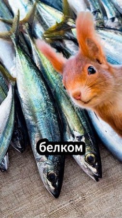 Топ три продукта для набора мышечной массы #масса #спорт #сила #тренировка