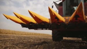 Жатки для уборки кукурузы JOHN GREAVES дилер ПАО «БЕРДЯНСКИЕ ЖАТКИ»