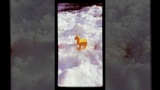 лама Программа смотреть онлайн