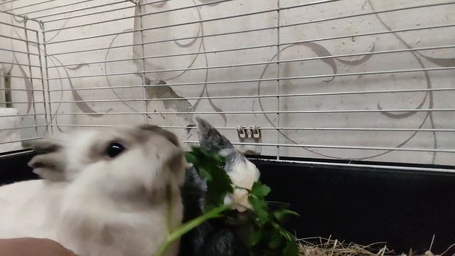 1000017909.mp4