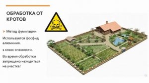 обработка от кротов