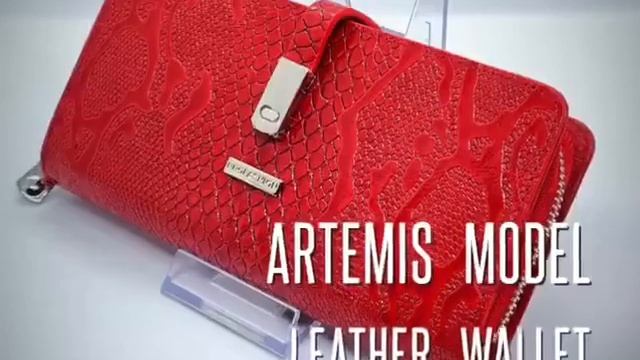 Two Wallet Models in This Video.