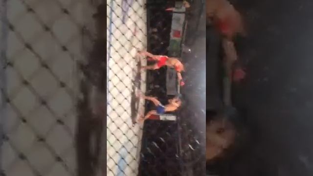 Арипшев Замир смотреть онлайн