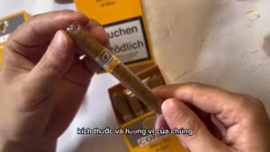 Review xì gà Cohiba Short 10 - Thịnh Store