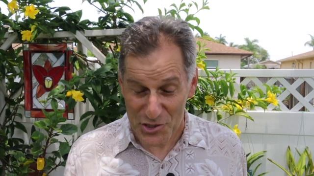 Daylily care and propagation смотреть онлайн