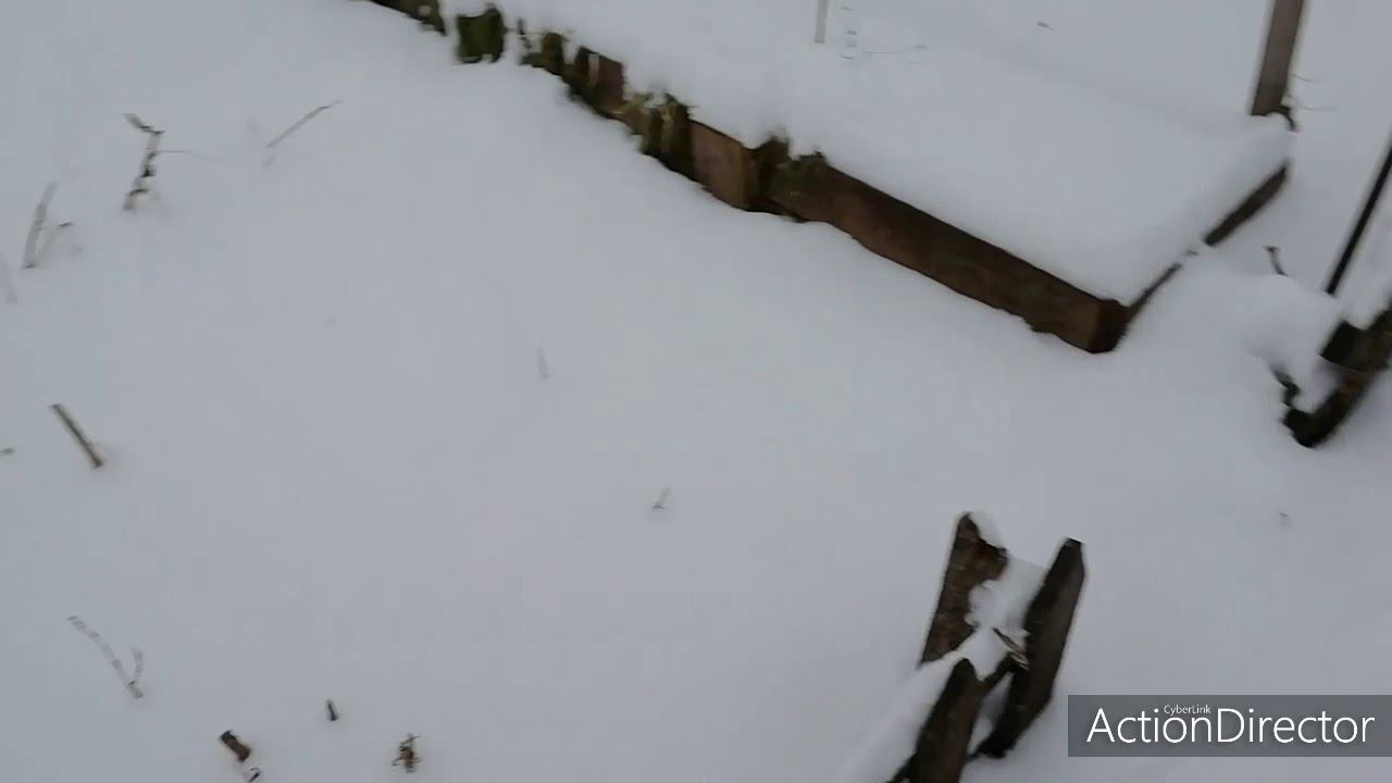 С первым днём ЗИМЫ! ❤️ смотреть онлайн