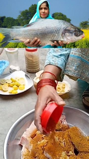 Big Fish Fry #fish #tastyfishfryrecipe #easytastyfishfryrecipe