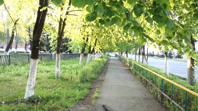 Изоляция . смотреть онлайн