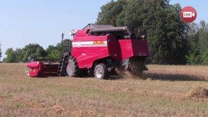 Колхоз-банкрот вырастил рекордный урожай (Деревная, Слонимский район, 2017)