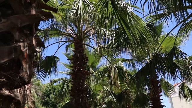 Travel video - Turkey, Antalya, Side, Sural *the most beautiful place on Earth* смотреть онлайн