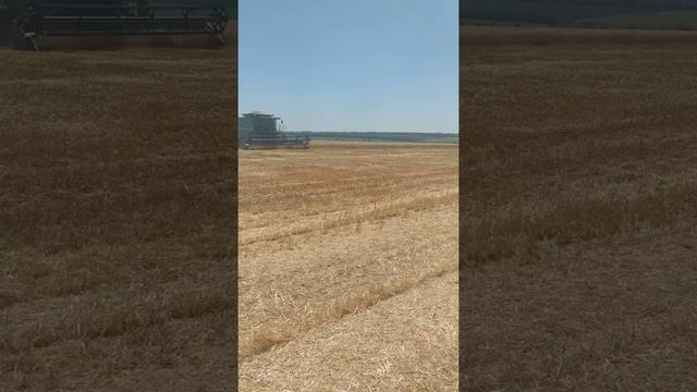 28 июня 2019 г. смотреть онлайн