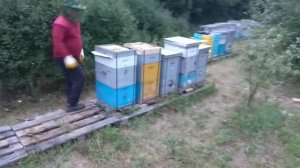 Носилки для переноски ульев