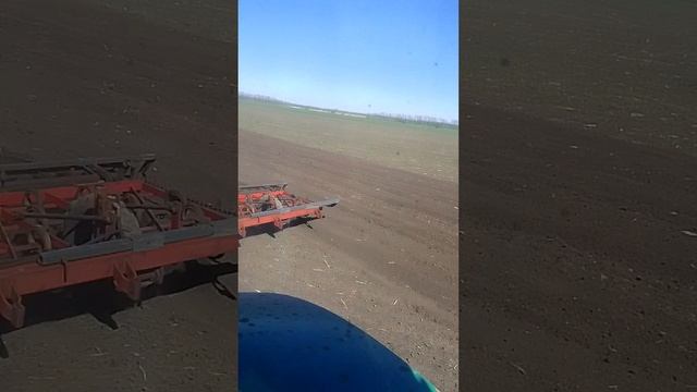 Культивация