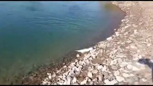 Река Или,  ловля осеннего жереха