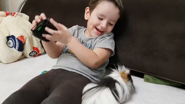 Морская свинка Чуча. Итоги первой недели смотреть онлайн