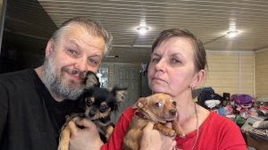 Доброе утро 27 декабря