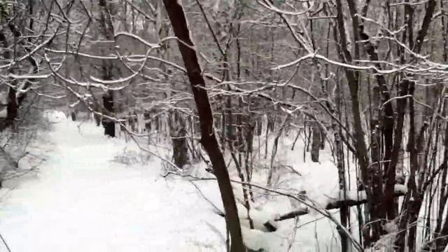 Gimbal Test смотреть онлайн