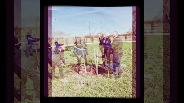 100 лет BVM Могилевторчермет.... РЯБИНОВЫЙ лес.. продолжение следует...