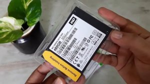 Best SSD for Laptop | Western Digital WD 480GB SSD Green Unboxing
