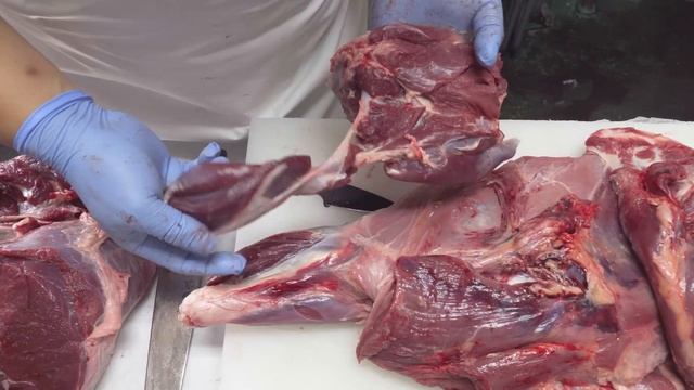 Wild Boar Ramen! 800+ Boars!!!