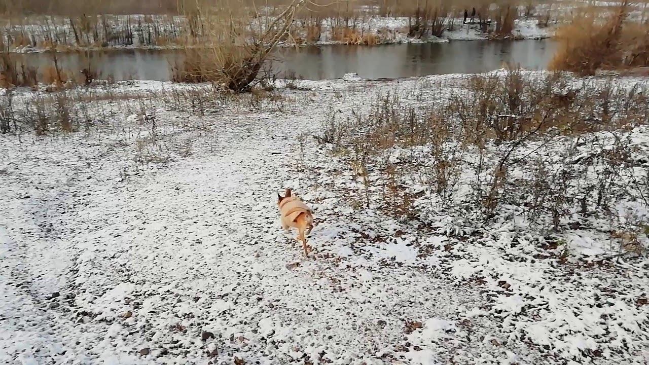 А утро то морозное.. смотреть онлайн