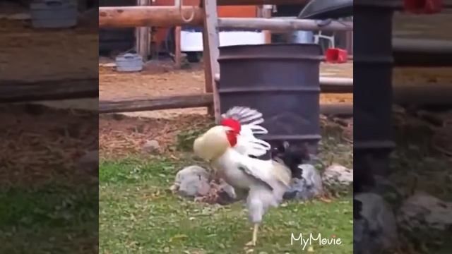 Смотри не обосрайся😂😂 смотреть онлайн