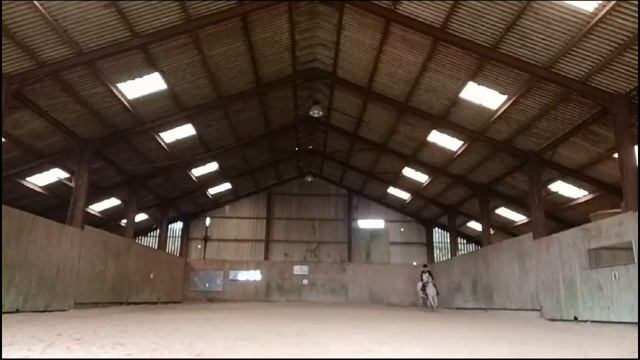 Marengo - Spanish Gelding for full loan смотреть онлайн