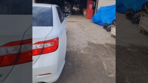 Toyota Camry AVV50-1004608