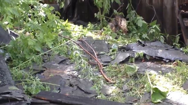 Новости "24 часа" от 23.06.21_Пожар по ул.  Бочарникова, 18 смотреть онлайн