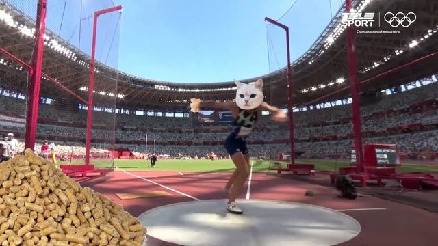 Типичный кот смотреть онлайн