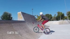 PARA ESO PONEN PEGS EN BMX