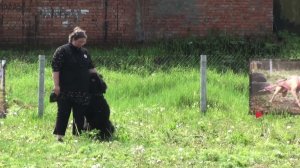 Сдача ВН в Коломне 25 мая 2013