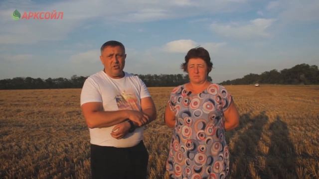 Собираем урожай,  несмотря на засуху в 2019 году!
