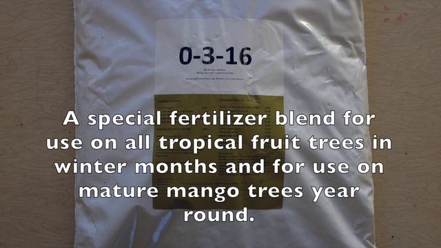 All About Fertilizing Mango Trees