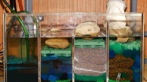 Внутренний фильтр для аквариума своими руками. Компонент химической очистки.
