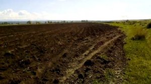 Т40 с кабиной от ЮМЗ